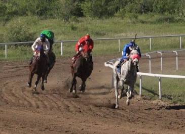 Chippewa Downs Image