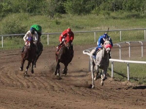Chippewa Downs Image