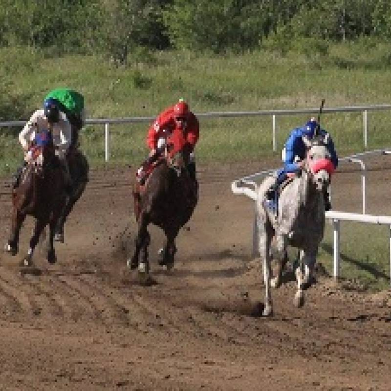 Chippewa Downs Image